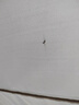 牧高笛（MOBIGARDEN）天幕 戶外露營防雨遮陽防曬牛津布方形天幕410 NX21661026 晨霧白 曬單實拍圖