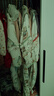 巴拉巴拉女童公主裙兒童連衣裙夏裝裙子漸變網(wǎng)紗裙201224111037 曬單實(shí)拍圖