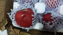 疆域采虹正宗普羅旺斯西紅柿現(xiàn)摘新鮮沙瓤水果生吃西紅柿沙漠特產(chǎn)自然熟 嚴(yán)選 5斤 超值裝 凈重約為4斤 曬單實拍圖