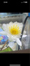 康佳（KONKA）空氣循環(huán)扇電風(fēng)扇家用風(fēng)扇臺式搖頭小風(fēng)扇立式換氣扇輕音電扇大風(fēng)量交流定頻落地扇KXHS-1801-P 曬單實(shí)拍圖