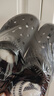 卡駱馳（crocs）經(jīng)典泡芙Clog男女一腳蹬懶人沙灘鞋 CR207521-001 37 曬單實(shí)拍圖