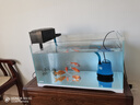 森森 超白玻璃小魚缸HWK-600P裸缸款水草缸金魚缸小型水族箱水草缸  曬單實(shí)拍圖