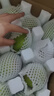 精選紅香酥梨新鮮水果當季薄皮新疆香梨青皮酥梨脆蜜雪梨整箱包郵 精選中果凈重5斤 曬單實拍圖