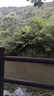 退網(wǎng)光貓機(jī)頂盒中國(guó)移動(dòng)電信拆機(jī)設(shè)備退網(wǎng)銷戶電視寬帶光纖貓 壞機(jī)慎拍二 移動(dòng)寬帶貓+配件套 曬單實(shí)拍圖