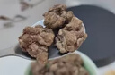 北京同仁堂野生貓爪草中藥材正品水洗貓爪草中藥材貓瓜草貓爪茶夏枯草蒲公英 500克貓爪草 曬單實拍圖