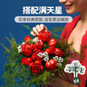 樂(lè )高LEGO D2C 創(chuàng  )意永生花束仿生花成人粉絲收藏款情人節生日禮物 10328 玫瑰花束 曬單實(shí)拍圖