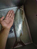鎢泥鉛調(diào)漂污泥鉛皮泥釣魚烏泥鉛配重調(diào)漂找底神器循環(huán)使用配件 【12g】可回收重復(fù)使用 曬單實(shí)拍圖