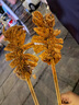 中三院靜脈曲張彈力襪醫(yī)用治療型壓力襪術(shù)后護(hù)小腿中老年血栓春夏男女 醫(yī)用二級(jí)治療型（護(hù)小腿） 黑色M碼 參考體重90-110斤 曬單實(shí)拍圖