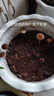 新款超穩(wěn)產(chǎn)雞樅菌種包野生三塔菌原種批發(fā)陽臺盆栽家庭可食用 新款雞樅菌包 新款1220克【超穩(wěn)產(chǎn)量+技術(shù)扶持 曬單實(shí)拍圖