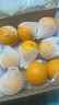 新奇士（Sunkist）澳大利亞進(jìn)口藍標早臍橙4斤禮盒 單果180g起 新鮮水果 曬單實(shí)拍圖