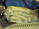 美加佳滿籽多春魚(yú) 1000g 帶籽率99% 煎炸燒烤食材 海鮮水產(chǎn) 曬單實(shí)拍圖