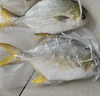 翔泰海南深海金鯧魚700g 2條 燒烤 火鍋 生鮮魚類 BAP認(rèn)證 海鮮水產(chǎn) 曬單實(shí)拍圖