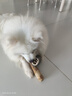 【京東快遞】狗狗磨牙棒咖啡木耐磨耐咬解悶防拆家天然泰迪犬玩具 XL號 大型犬 50斤以上 曬單實(shí)拍圖