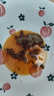 shxpt 衡陽二度梅茶油腐乳湘品堂湖南特產(chǎn)南岳豆腐乳農(nóng)家自制香辣霉豆腐調(diào)味品下飯菜450g 二度梅茶油腐乳450g 曬單實拍圖