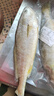 正宗深海黃花魚(yú)新鮮海魚(yú)活魚(yú)鎖鮮速凍真空包裝大黃魚(yú) 五條裝250-300g/條 曬單實(shí)拍圖