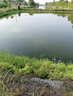 YEE魚塘除藻去苔劑魚池凈水除綠水藍(lán)藻分解酶綠褐藻絲藻黑毛藻清除劑 1袋裝【一次管兩畝】輕度水藻管五畝 曬單實(shí)拍圖