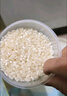 金龍魚(yú)長(cháng)粒香大米 東北大米 10斤*4/整箱裝40斤 曬單實(shí)拍圖