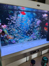 魚(yú)缸背景貼紙5d高清畫(huà)立體畫(huà)新款畫(huà)防水3D自粘壁專(zhuān)用清圖免貼靜電 海底世界系列靜電貼 下單留言型 80x60x0cm 長(cháng)X高 曬單實(shí)拍圖