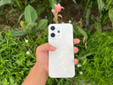 OPPO Reno14 12GB+256GB 人魚姬 高清長焦實況照片 Live圖神機 學生拍照 5G智能手機 國家補貼 曬單實拍圖