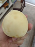 雅得康 丁硼乳膏125g 2盒裝 曬單實(shí)拍圖