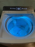 小天鵝（LittleSwan）波輪洗衣機全自動(dòng) 12公斤大容量 小烏梅輕奢版【TB12VE20DW】水魔方防纏繞 家電國家補貼20% 曬單實(shí)拍圖