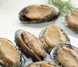 江船長 冷凍鮑魚 凈重160g(18-22粒)袋裝 火鍋燒烤食材 海鮮生鮮 曬單實拍圖