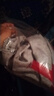 安踏運動(dòng)休閑衛衣男秋季圓領(lǐng)套頭衫打底長(cháng)T針織寬松運動(dòng)潮流上衣 曬單實(shí)拍圖