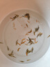 觀賞蝦鮮活熱帶淡水蝦小櫻花水晶極火蝦魚(yú)缸寵物除藻清潔黑殼蝦苗 中號(hào)黑殼蝦(共30只)15+15備損 曬單實(shí)拍圖