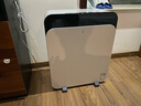 布魯雅爾（Blueair）空氣凈化器除甲醛新房急入住吸貓毛除菌過(guò)敏原苯去煙味303＋380IF升級款CP7i家用電器國家補貼 曬單實(shí)拍圖