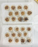 蔡瀾 黑椒牛肉紙皮燒賣 1.32千克 1.32kg 曬單實拍圖