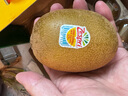 佳沛（zespri）新西蘭  陽(yáng)光金奇異果10粒禮盒巨大果單果約144-175g 水果 獼猴桃 曬單實(shí)拍圖