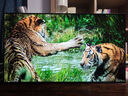 LG 48英寸C5 OLED游戲平板電視機(jī) 超薄4K超高清全面屏HDR 144HZ高刷 HDMI2.1 0.1ms低延遲以舊換新 48英寸 OLED48C5PCA 曬單實(shí)拍圖