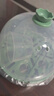 九陽（Joyoung）煮蛋器多功能智能蒸蛋器7個(gè)蛋量 ZD7-GE130（飛泉綠） 曬單實(shí)拍圖
