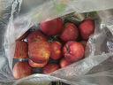 集南鮮 大漠冰糖心富士蘋(píng)果 甘肅新鮮脆甜蘋(píng)果 孕婦水果節日送禮 5斤甄選果 單果70-80mm 凈重4.5斤 曬單實(shí)拍圖