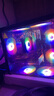 技嘉 酷睿i5 13400F臺(tái)式組裝電腦主機(jī)RTX4060Ti/5060Ti游戲高端電競(jìng)獨(dú)顯直播設(shè)計(jì)渲染整機(jī) 配置三：14代酷睿i5丨暢玩3A 曬單實(shí)拍圖