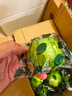 翠鮮令海南塔希提無(wú)籽香水青檸檬 新鮮采摘 榨汁鮮果 產(chǎn)地源頭直發(fā) 凈重5斤裝 曬單實(shí)拍圖