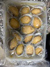 森農(nóng)樂鮑魚鮮活冷凍特大生鮮大號(hào)貝類海鮮水產(chǎn)超大即食佛跳墻食材鮑魚汁 14-15只/斤【中大鮑魚1斤 精品嘗鮮】 曬單實(shí)拍圖