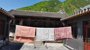 麥哲倫 葡萄架遮陽網(wǎng)鋼絲內(nèi)芯防銹防腐曬被繩晾衣架繩線包塑鋼絲繩 4mm粗包塑鋼絲繩(10米一套) 曬單實拍圖