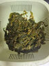 福建霞浦特產(chǎn)海帶苗鮮嫩海帶芽苗鹽漬海帶嫩苗火鍋食材專(zhuān)用 海帶苗500g*5袋 曬單實(shí)拍圖