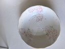 美濃燒 日本進(jìn)口陶瓷 櫻花陶瓷餐具米飯碗 家用日式蒸魚 8.5英寸湯盤【 21CM*6.5CM】 曬單實(shí)拍圖