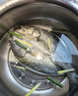 海名威 冷凍三去海鱸魚(yú)880g/2條 (配料包) 海魚(yú) 生鮮魚(yú)類 海鮮水產(chǎn)  曬單實(shí)拍圖