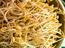 李小谷有機綠豆500g罐裝(可發(fā)豆芽打豆?jié){東北綠豆沙綠豆湯原料) 有機綠豆500g 曬單實拍圖