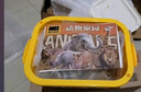 babycare&bctoys動物玩具動物桶熊貓老虎獅子長頸鹿模型玩具 曬單實拍圖