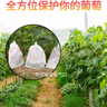 曇蓓漫葡萄套袋露天葡萄專(zhuān)用袋育果袋防蟲(chóng)防水防菌水果網(wǎng)袋紙袋套果袋 【22*32cm/2斤內使用】葡萄套袋 100個(gè)裝丨升級加厚丨可反復使用 曬單實(shí)拍圖