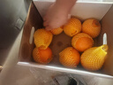 新奇士（Sunkist）澳大利亞藍(lán)標(biāo)早臍橙橙子 大果 8斤禮盒裝 單果220g+ 新鮮水果禮盒 曬單實(shí)拍圖
