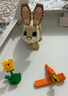 樂(lè)高（LEGO）積木拼裝31162 可愛(ài)的兔子男孩女孩兒童玩具生日禮物 曬單實(shí)拍圖