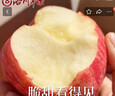 洛川蘋果陜西延安紅富士時(shí)令蘋果水果禮盒裝糖心蘋果生鮮脆甜整箱好吃新鮮 10斤鉑金果70-75mm（凈重8.5斤） 曬單實(shí)拍圖