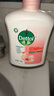 滴露（Dettol）洗手液消毒抑菌滋潤(rùn)500g+500g補(bǔ)充裝兒童家庭護(hù)手替換 曬單實(shí)拍圖