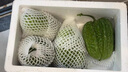 【順豐】正宗廣東江門(mén)大頂涼瓜苦瓜現摘農家大頂涼瓜苦瓜當季新鮮 2斤 曬單實(shí)拍圖