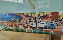 京鮮生 焦作溫縣沙土鐵棍懷山藥 5斤40-50cm 新鮮蔬菜可溯源 源頭直發(fā) 曬單實拍圖